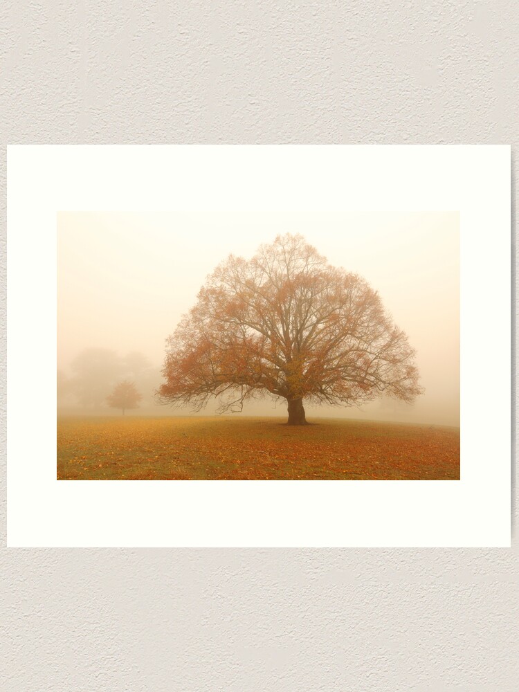 Alternate view of Autumn Fog, Daylesford, Australia Art Print