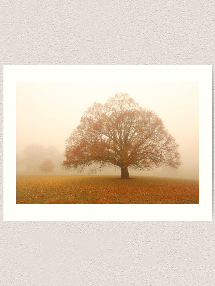 Alternate view of Autumn Fog, Daylesford, Australia Art Print