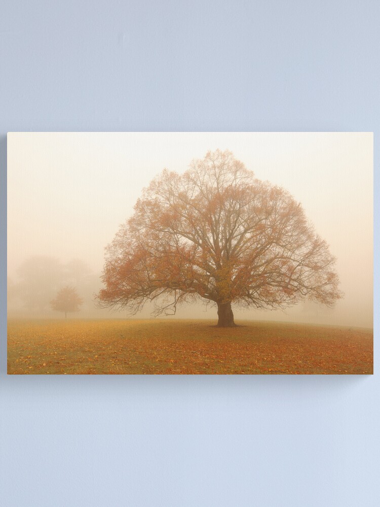 Alternate view of Autumn Fog, Daylesford, Australia Canvas Print