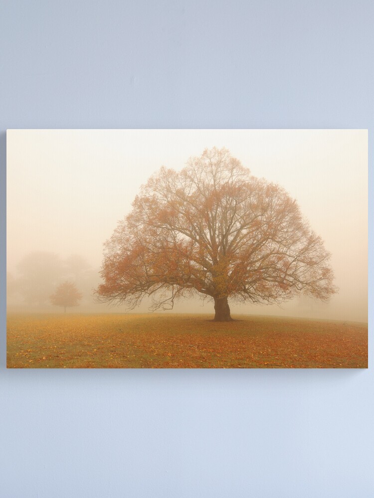 Alternate view of Autumn Fog, Daylesford, Australia Canvas Print