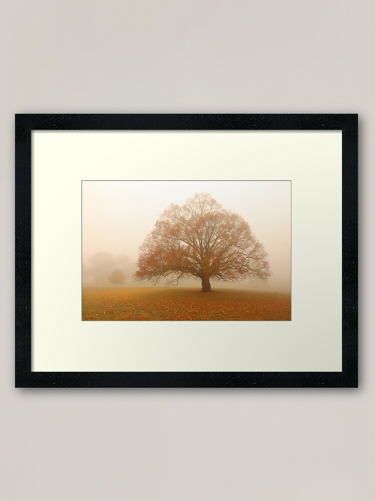 Thumbnail 2 of 7, Framed Art Print, Autumn Fog, Daylesford, Australia designed and sold by Michael Boniwell.
