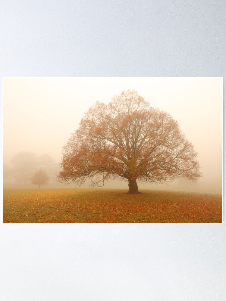 Alternate view of Autumn Fog, Daylesford, Australia Poster