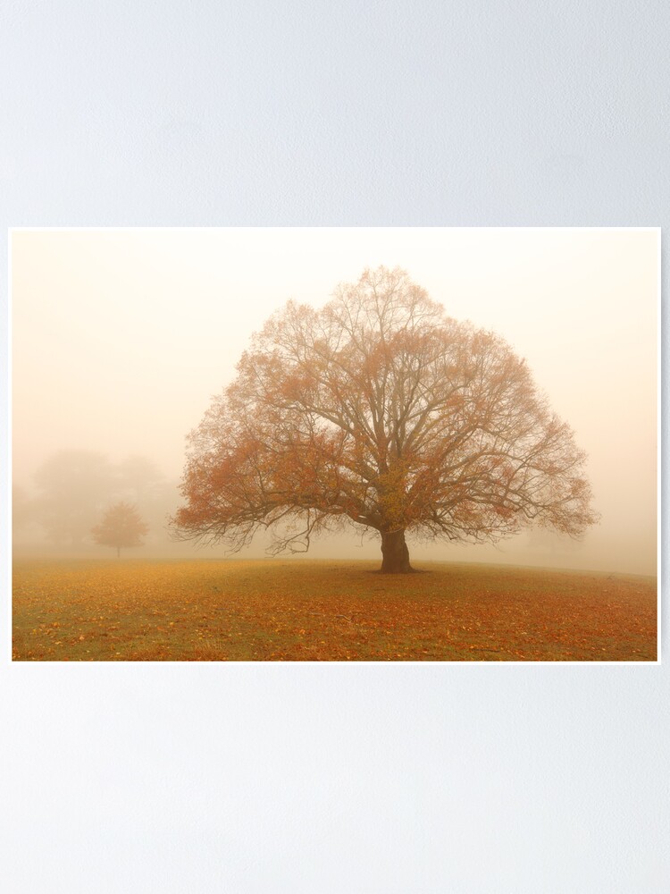 Alternate view of Autumn Fog, Daylesford, Australia Poster