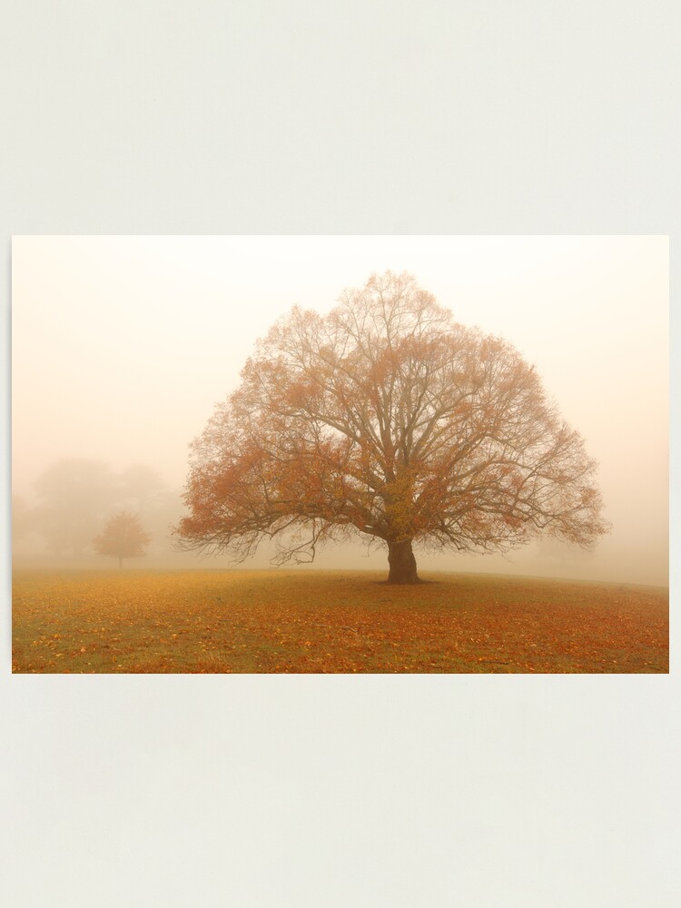 Alternate view of Autumn Fog, Daylesford, Australia Photographic Print