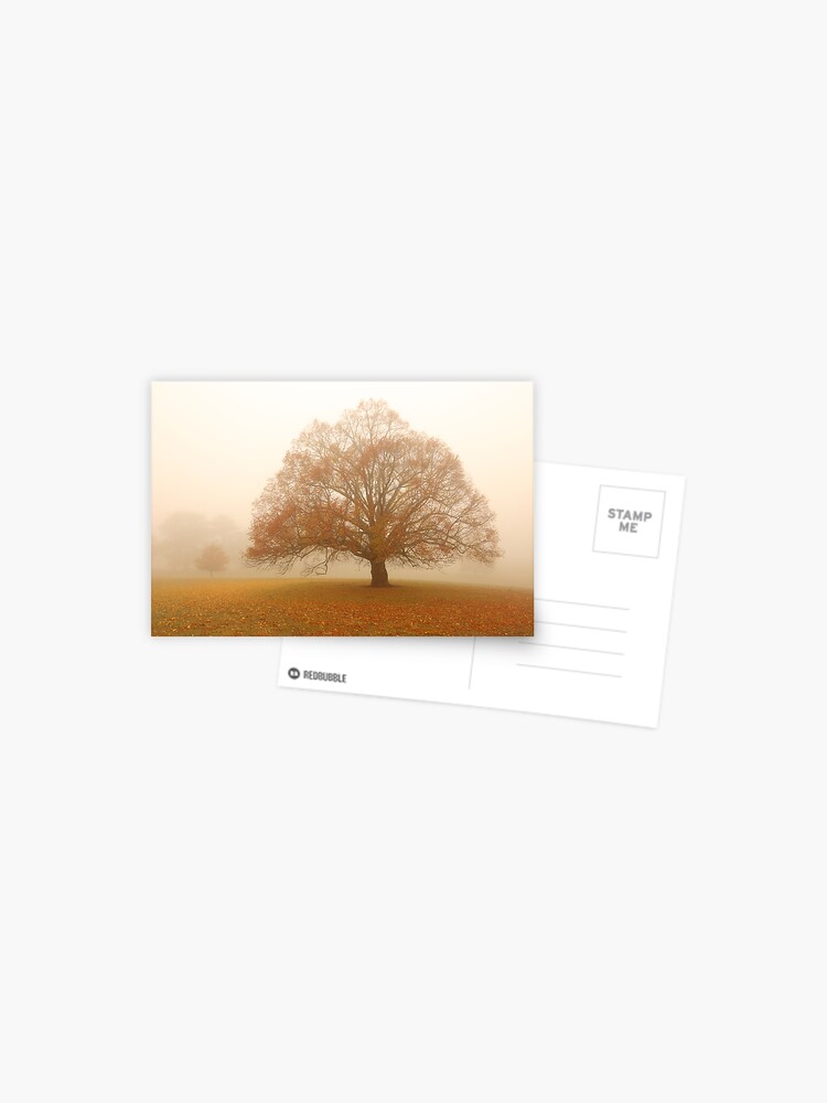 Thumbnail 1 of 2, Postcard, Autumn Fog, Daylesford, Australia designed and sold by Michael Boniwell.