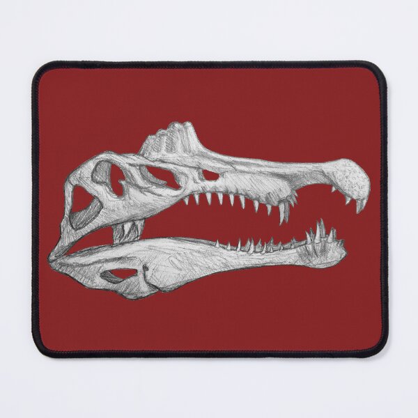 Item preview, Spinosaurus Aegiptiacus skull designed and sold by DoodleSnake58.