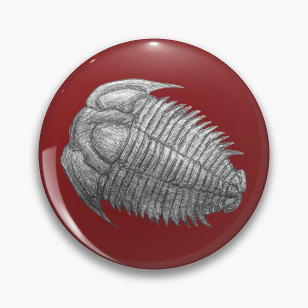 Item preview, Trilobite fossil  designed and sold by DoodleSnake58.