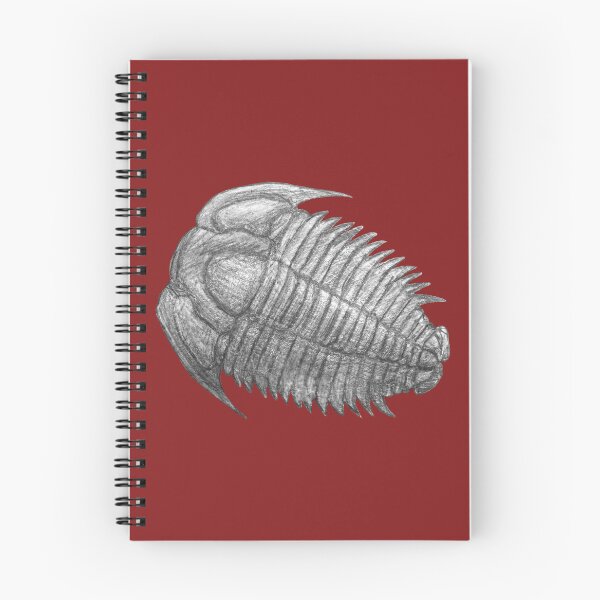 Item preview, Trilobite fossil  designed and sold by DoodleSnake58.