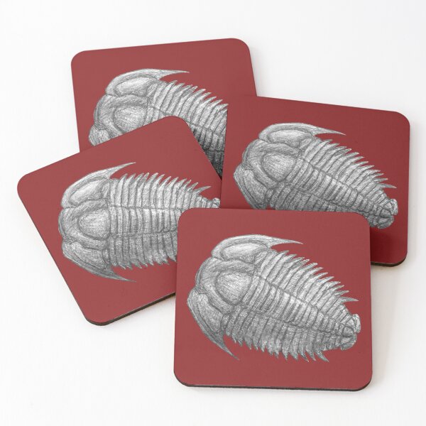 Item preview, Trilobite fossil  designed and sold by DoodleSnake58.
