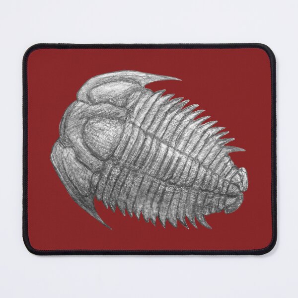 Item preview, Trilobite fossil designed and sold by DoodleSnake58.