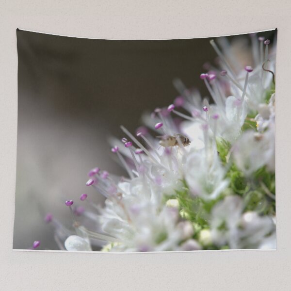 Item preview, Macro Photo of Scuttle Fly on Flower Spike designed and sold by Petalgrain.