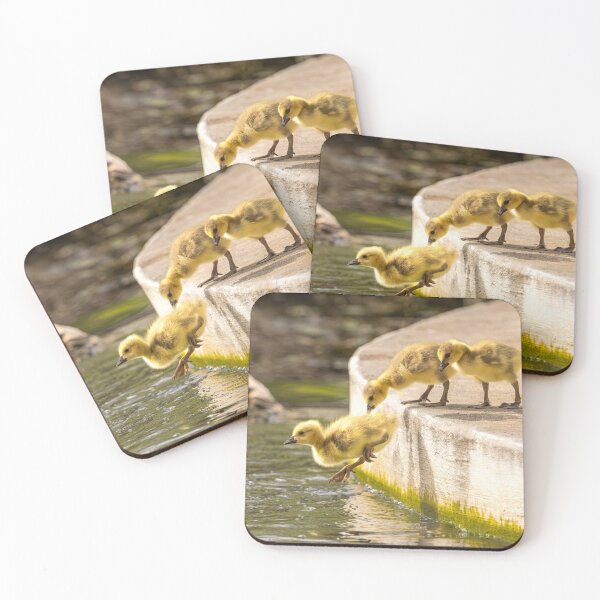 Item preview, Brave Goslings Jumping into Water designed and sold by Jarrett720.