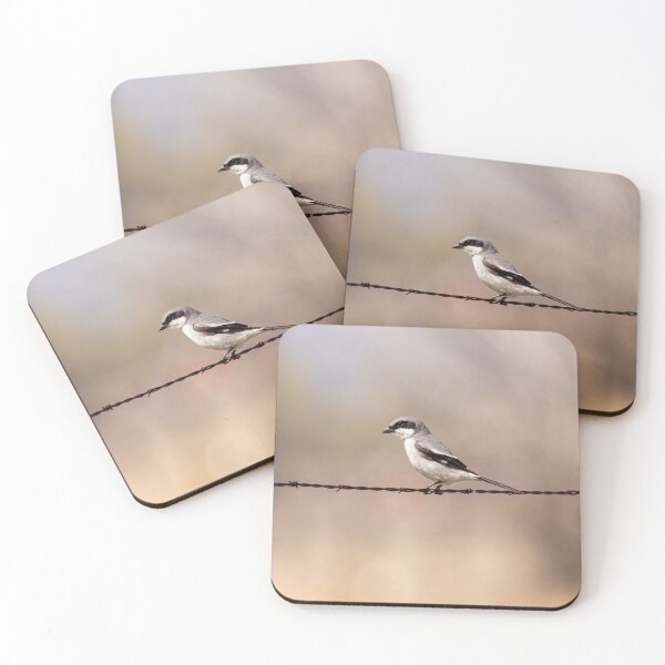 Item preview, Solitary Loggerhead Shrike on Barbed Wire designed and sold by Jarrett720.