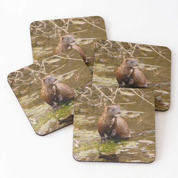 Item preview, Wet Mink on Mossy Stream Rock designed and sold by Jarrett720.