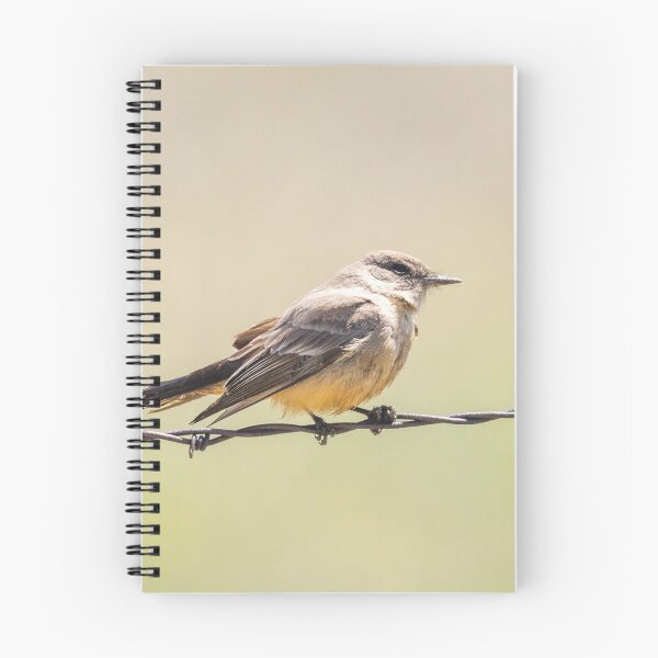 Item preview, Solitary Flycatcher on Barbed Wire designed and sold by Jarrett720.