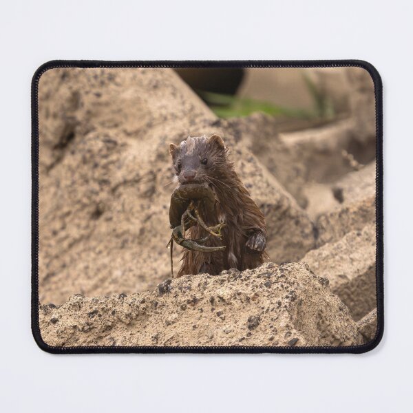 Item preview, Mink Triumph with Fresh Crayfish Catch designed and sold by Jarrett720.