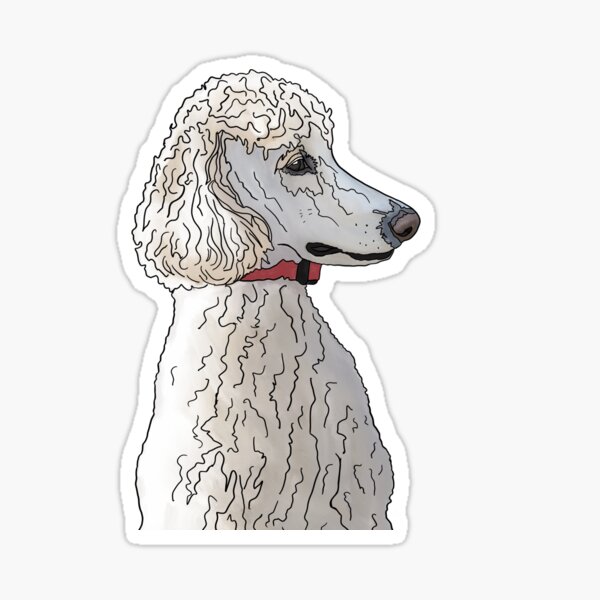 Kyah the Standard Poodle Sticker