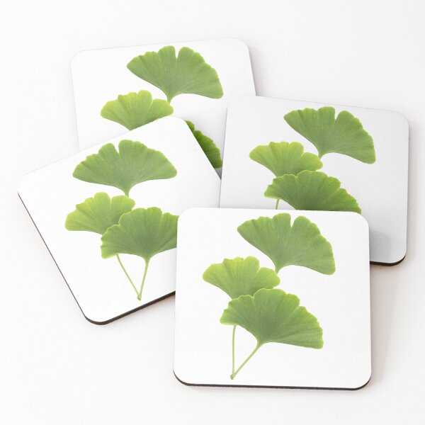 Item preview, Ginko Leaf designed and sold by liliaceaes.