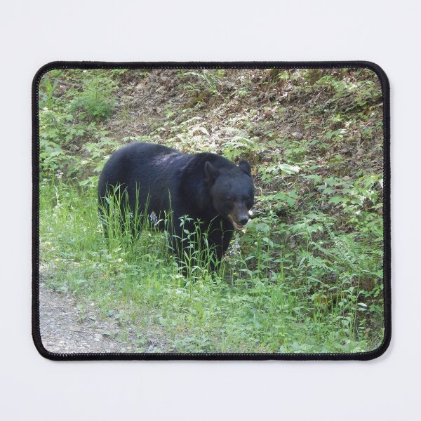 Item preview, Wild Black Bear in Natural Habitat designed and sold by LeeAnnaRose96.
