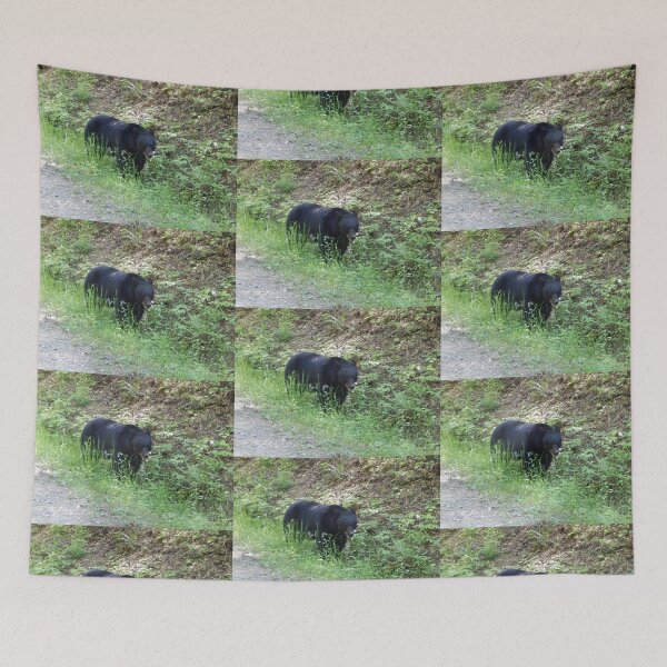 Item preview, Wild Black Bear in Natural Habitat designed and sold by LeeAnnaRose96.
