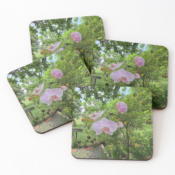 Item preview, Paradise flower 102 designed and sold by Johnnys Place.