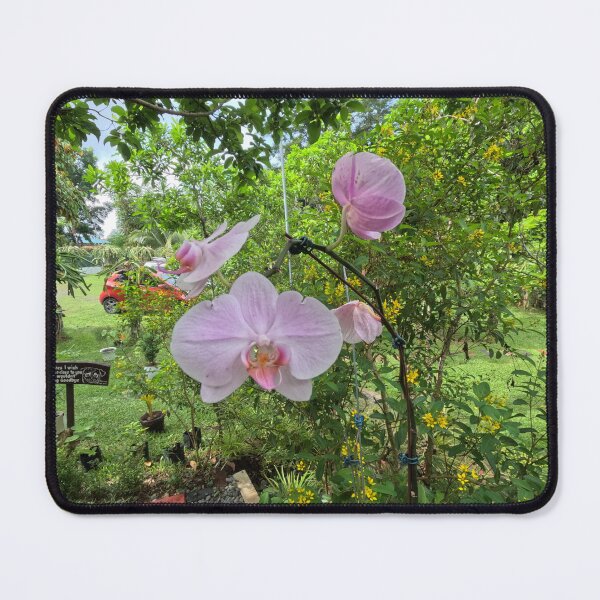 Item preview, Paradise flower 102 designed and sold by Johnnys Place.