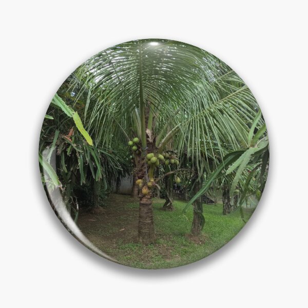 Item preview, Island Grove designed and sold by Johnnys Place.