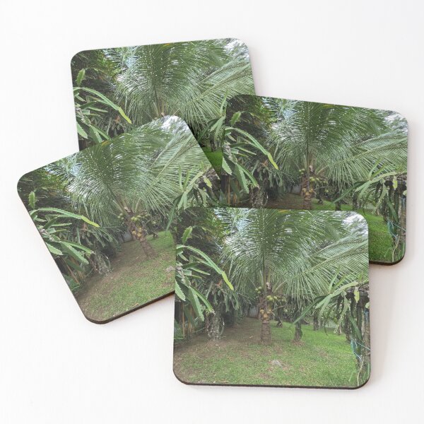 Item preview, Island Grove designed and sold by Johnnys Place.