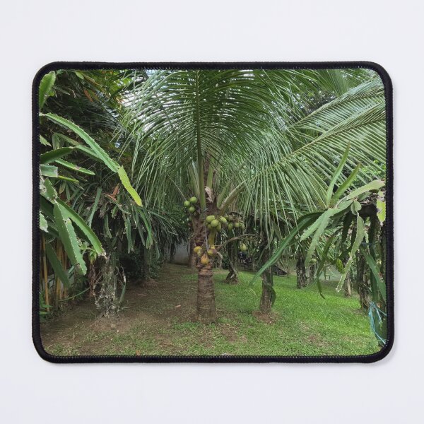 Item preview, Island Grove designed and sold by Johnnys Place.