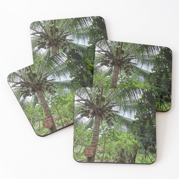 Item preview, Philippine Island Coconuts designed and sold by Johnnys Place.