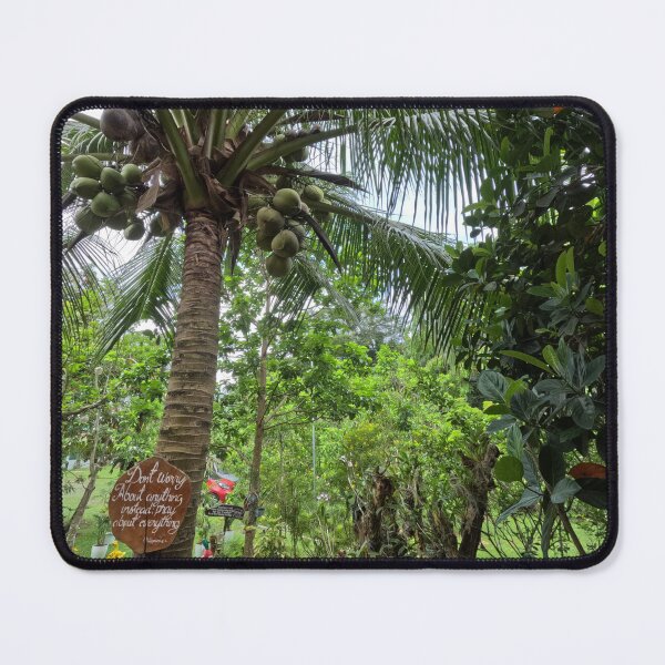 Item preview, Philippine Island Coconuts designed and sold by Johnnys Place.