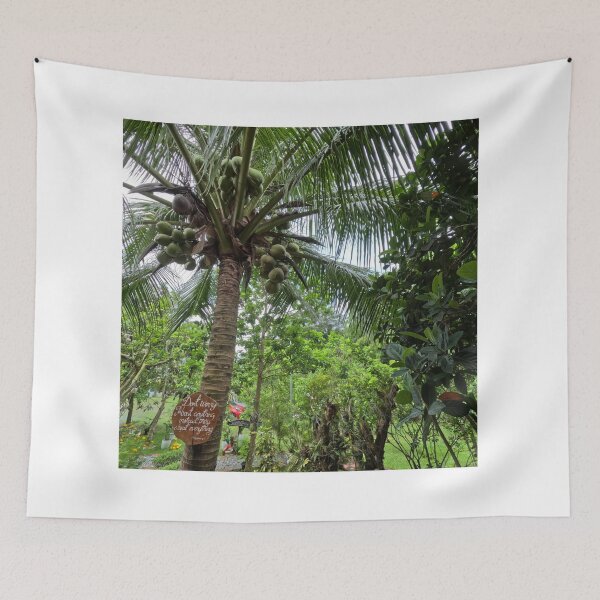 Item preview, Philippine Island Coconuts designed and sold by Johnnys Place.