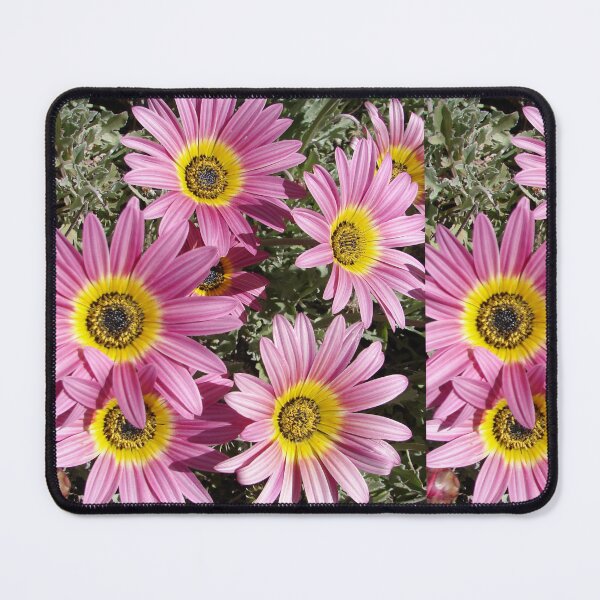 Item preview, Pink Daisy Flower Daisies Garden Photo With Yellow Centre designed and sold by Sarah  Rajkotwala.