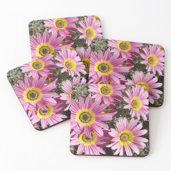 Item preview, Pink Daisy Flower Daisies Garden Photo With Yellow Centre designed and sold by Sarah  Rajkotwala.