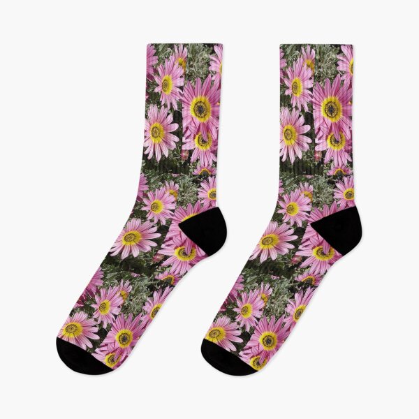 Item preview, Pink Daisy Flower Daisies Garden Photo With Yellow Centre designed and sold by Sarah  Rajkotwala.