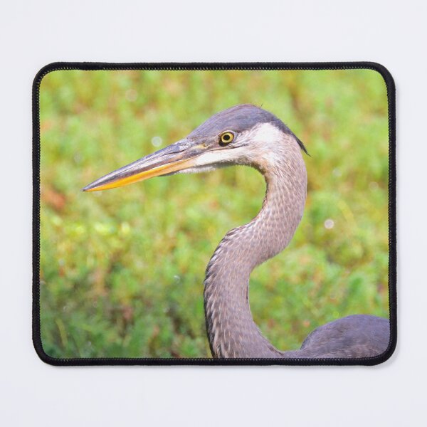 Item preview, Great Blue Heron  designed and sold by Parks and X.