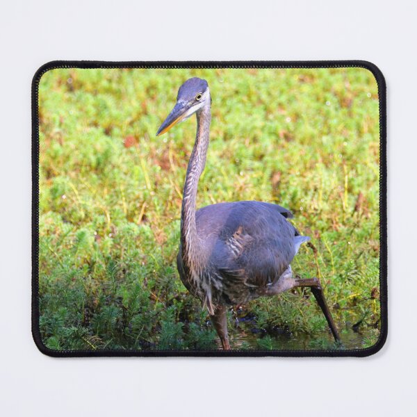 Item preview, Heron designed and sold by Parks and X.
