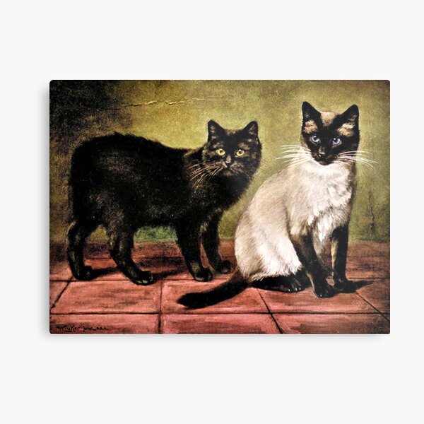 schwarzer mank und konigliche siamesische katze metallbild von goldenmenagerie redbubble