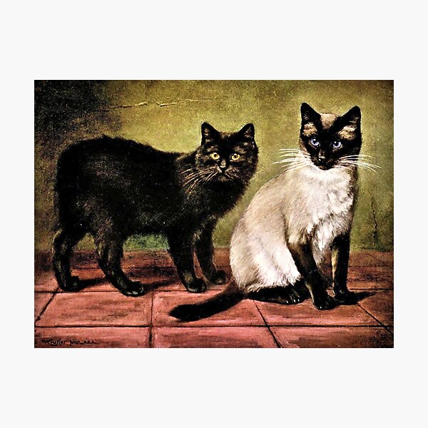 Item preview, Black Mank and Royal Siamese Cat designed and sold by goldenmenagerie.