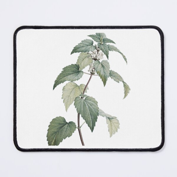Item preview, Vintage Nettle Illustration designed and sold by barasubahppai.