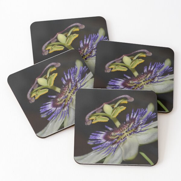 Item preview, Passionfruit flower designed and sold by Helen Greenwood.