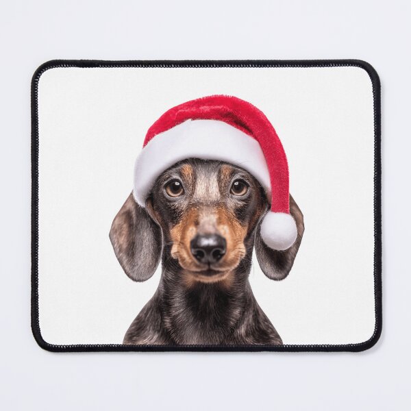 Item preview, Dachshund dog with Christmas Hat – Festive Dachshund Xmas Design designed and sold by LazyOwlStore.