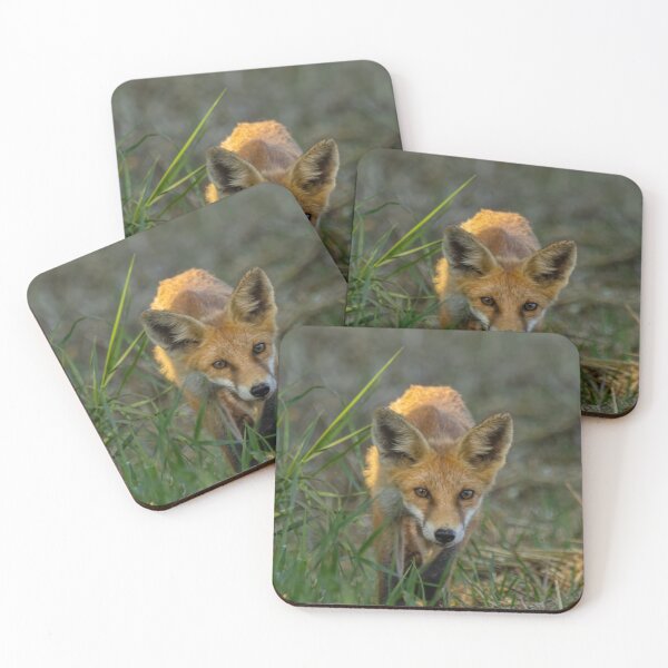 Item preview, Fox designed and sold by Wolf22floW.