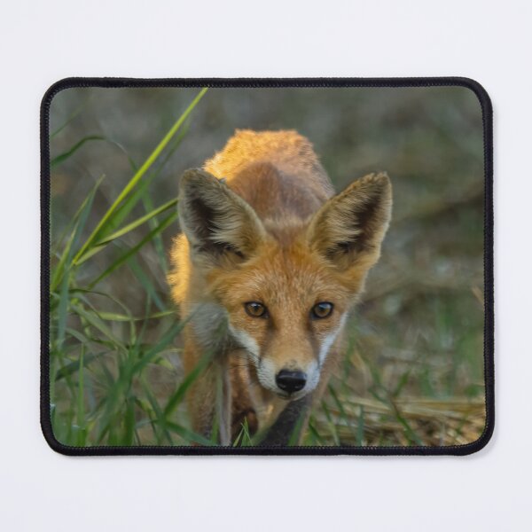 Item preview, Fox designed and sold by Wolf22floW.