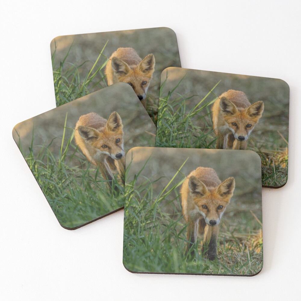 Item preview, Coasters (Set of 4) designed and sold by wolf22flow.