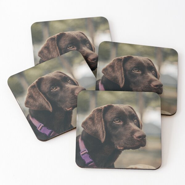 Item preview, Unique Choco Brown Labrador Retriever Dog designed and sold by VanGaldo.