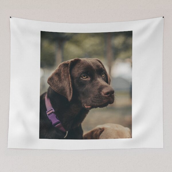 Item preview, Unique Choco Brown Labrador Retriever Dog designed and sold by VanGaldo.