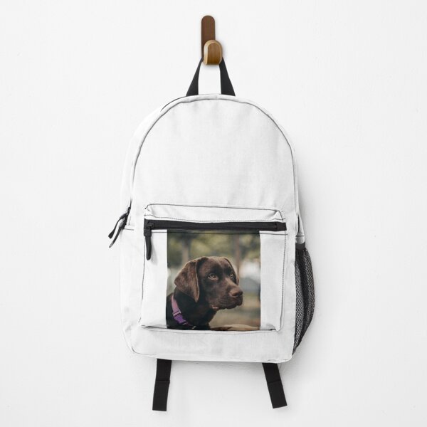 Item preview, Unique Choco Brown Labrador Retriever Dog designed and sold by VanGaldo.
