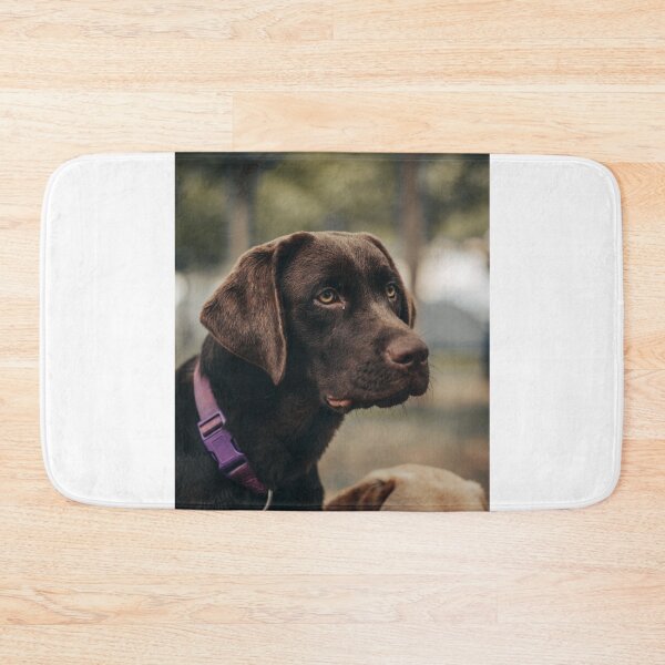 Item preview, Unique Choco Brown Labrador Retriever Dog designed and sold by VanGaldo.