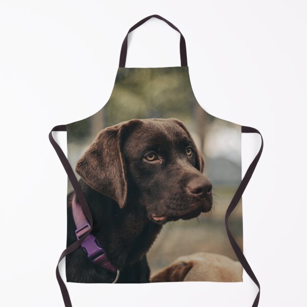 Item preview, Unique Choco Brown Labrador Retriever Dog designed and sold by VanGaldo.